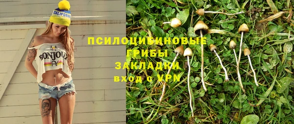 прущие грибы Алексин