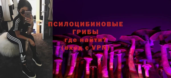 бошки Абинск