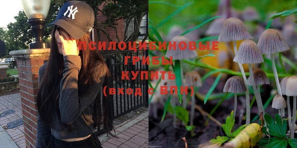 дурь Нефтекумск