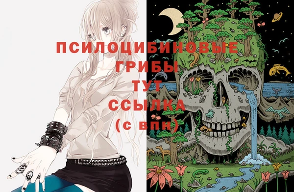прущие грибы Алексин