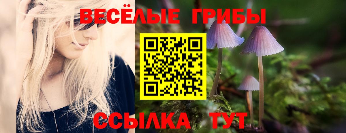 Псилоцибиновые грибы Psilocybine cubensis Ангарск